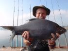 Black Carp