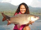 Rohu