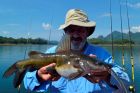 Yellow Catfish