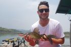 Yellow Catfish