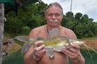 Yellow Catfish
