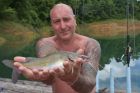 Yellow Catfish