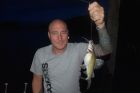 Yellow Catfish