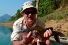 Yellow Catfish