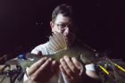 Yellow Catfish