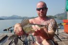 Yellow Catfish