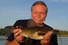 Yellow Catfish