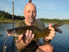 Yellow Catfish