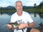 Yellow Catfish