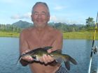 Yellow Catfish