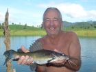 Yellow Catfish