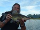 Yellow Catfish