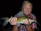 Yellow Catfish