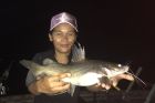 Yellow Catfish