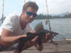 Yellow Catfish