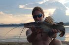 Yellow Catfish