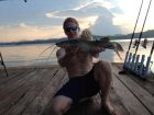 Yellow Catfish