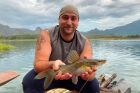 Yellow Catfish