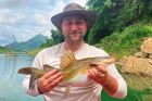 Yellow Catfish