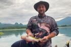 Yellow Catfish