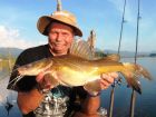 Yellow Catfish