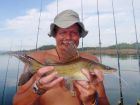 Yellow Catfish