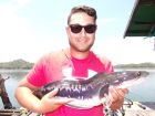 Giant Snakehead