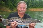 Giant Snakehead