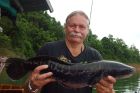 Giant Snakehead