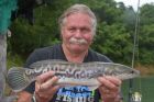 Giant Snakehead