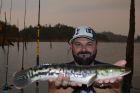Giant Snakehead