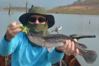 Giant Snakehead