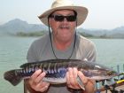 Giant Snakehead