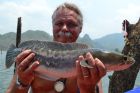 Giant Snakehead