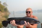 Giant Snakehead