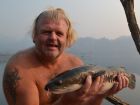 Giant Snakehead