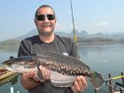 Giant Snakehead