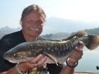 Giant Snakehead