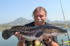 Giant Snakehead