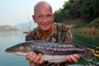 Giant Snakehead