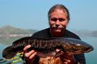 Giant Snakehead