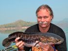 Giant Snakehead