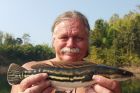 Giant Snakehead