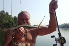 Giant Snakehead