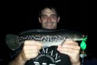 Giant Snakehead