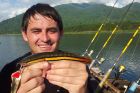 Giant Snakehead