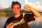 Giant Snakehead