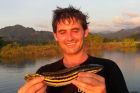 Giant Snakehead