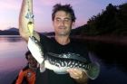 Giant Snakehead