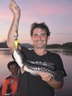 Giant Snakehead